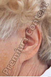 Ear texture of street references 419 0001